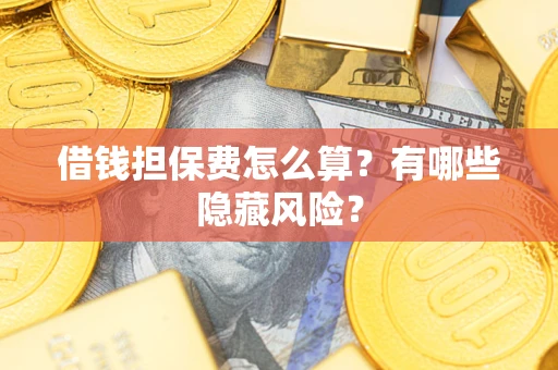 武汉借钱担保费怎么算？有哪些隐藏风险？