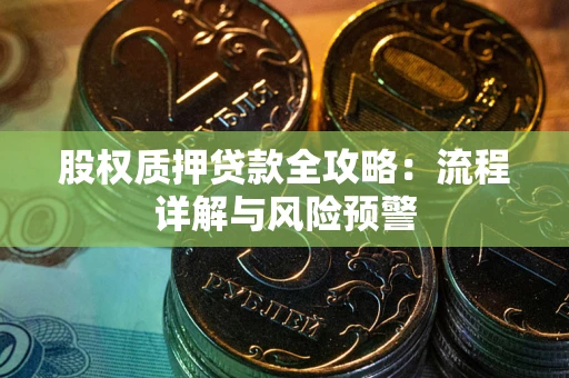 武汉股权质押贷款全攻略：流程详解与风险预警