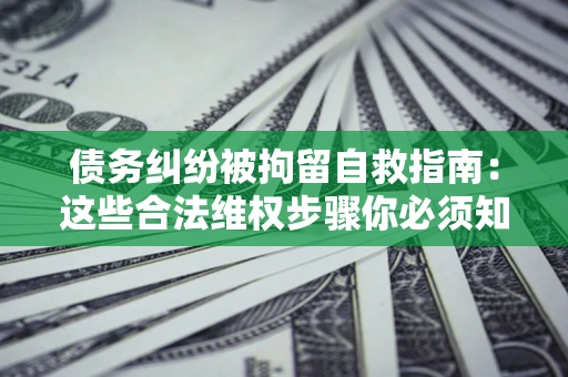 武汉债务纠纷被拘留自救指南：这些合法维权步骤你必须知道！