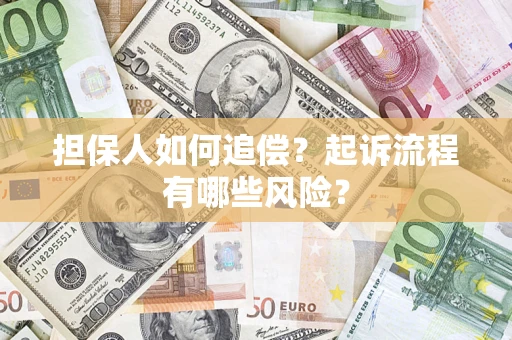 武汉担保人如何追偿？起诉流程有哪些风险？