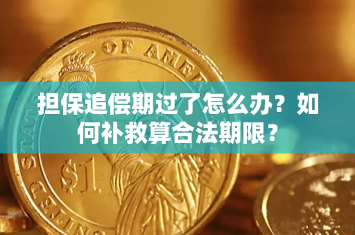 武汉担保追偿期过了怎么办？如何补救算合法期限？