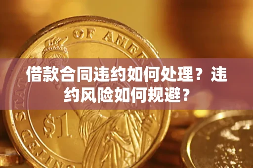 武汉借款合同违约如何处理？违约风险如何规避？