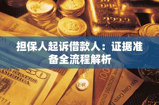 武汉担保人起诉借款人：证据准备全流程解析