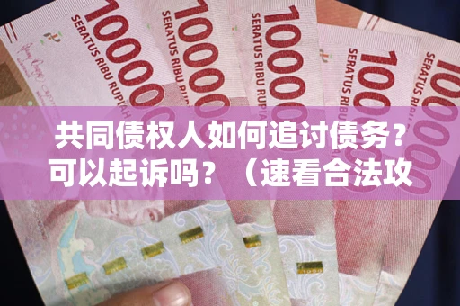 武汉共同债权人如何追讨债务？可以起诉吗？（速看合法攻略）