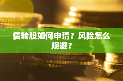 武汉债转股如何申请？风险怎么规避？