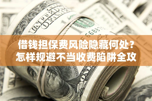 武汉借钱担保费风险隐藏何处？怎样规避不当收费陷阱全攻略！