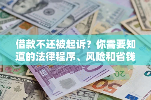 武汉借款不还被起诉？你需要知道的法律程序、风险和省钱技巧