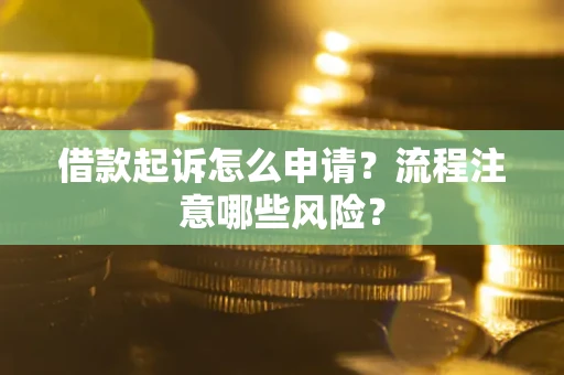 武汉借款起诉怎么申请？流程注意哪些风险？