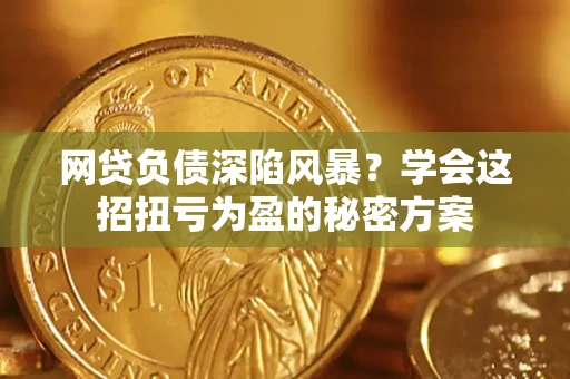 武汉网贷负债深陷风暴？学会这招扭亏为盈的秘密方案